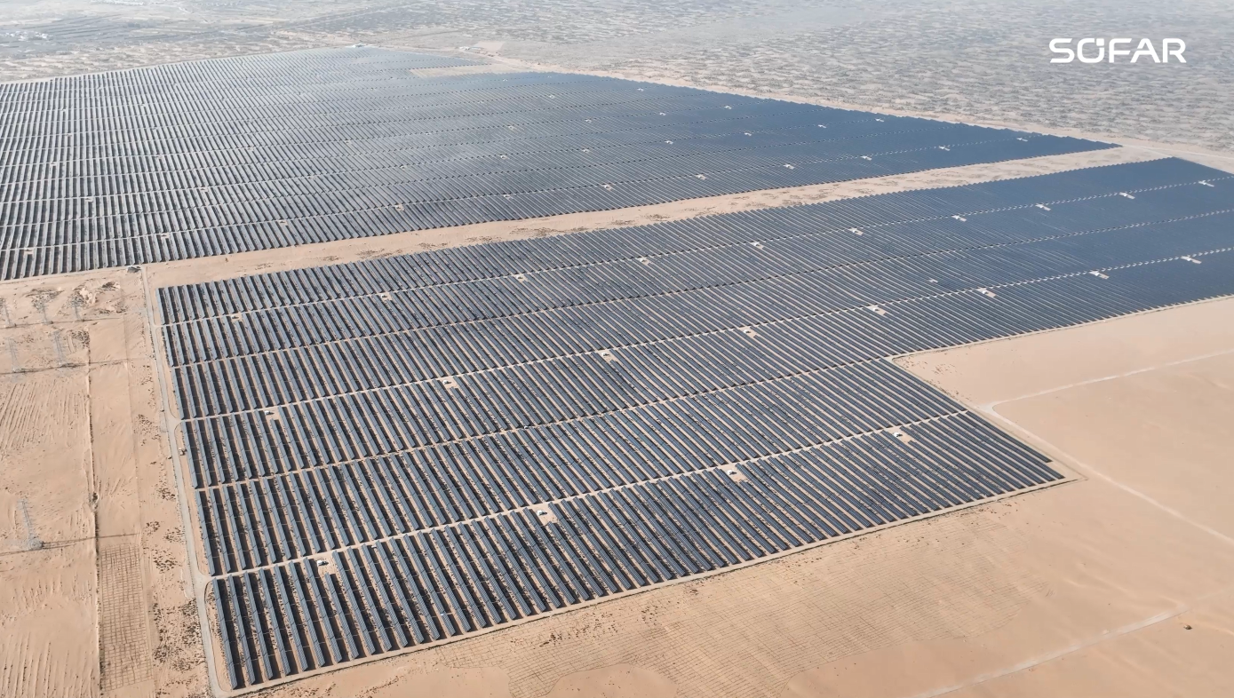 17032237308760674951389_787